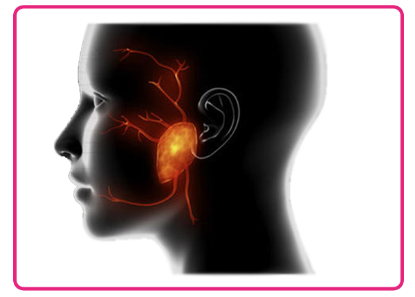 Salivary Gland Tumors Treatment