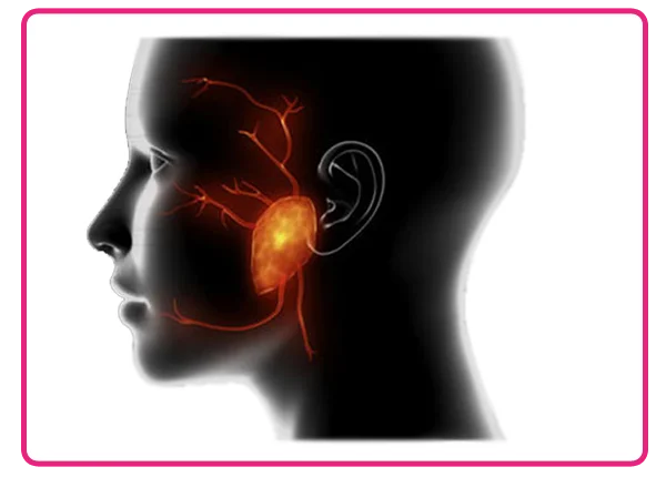 Salivary Gland Tumors Treatment